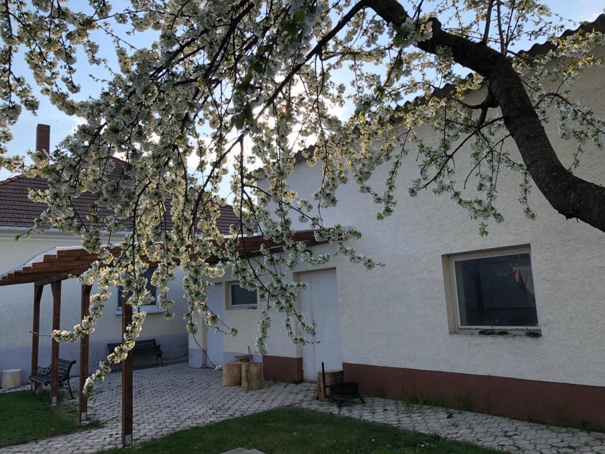 Elvira Vendeghaz Apartment Kisbodak Exterior foto
